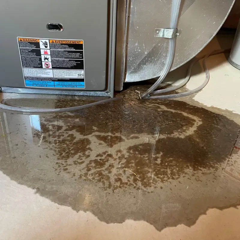 Appliance Leak Cleanup in Trinidad, CO