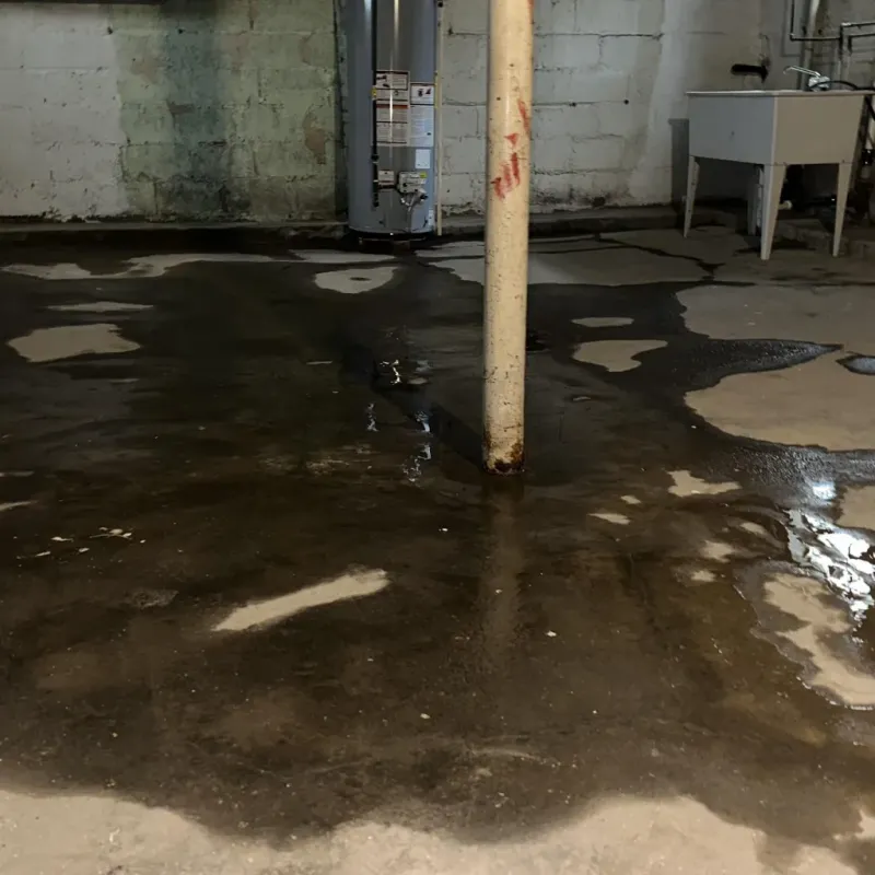 Emergency Water Extraction And Removal in Trinidad, CO